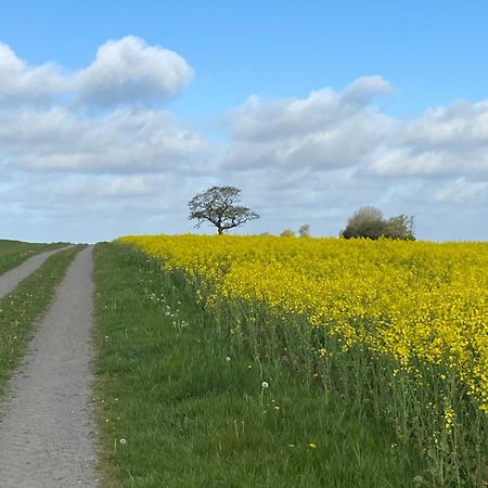 Blomstertantens Hus تريلبورغ المظهر الخارجي الصورة
