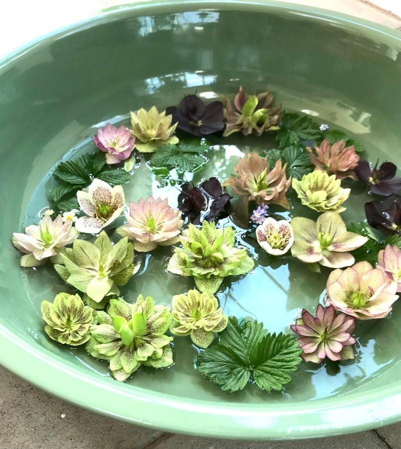 Blomstertantens Hus تريلبورغ المظهر الخارجي الصورة