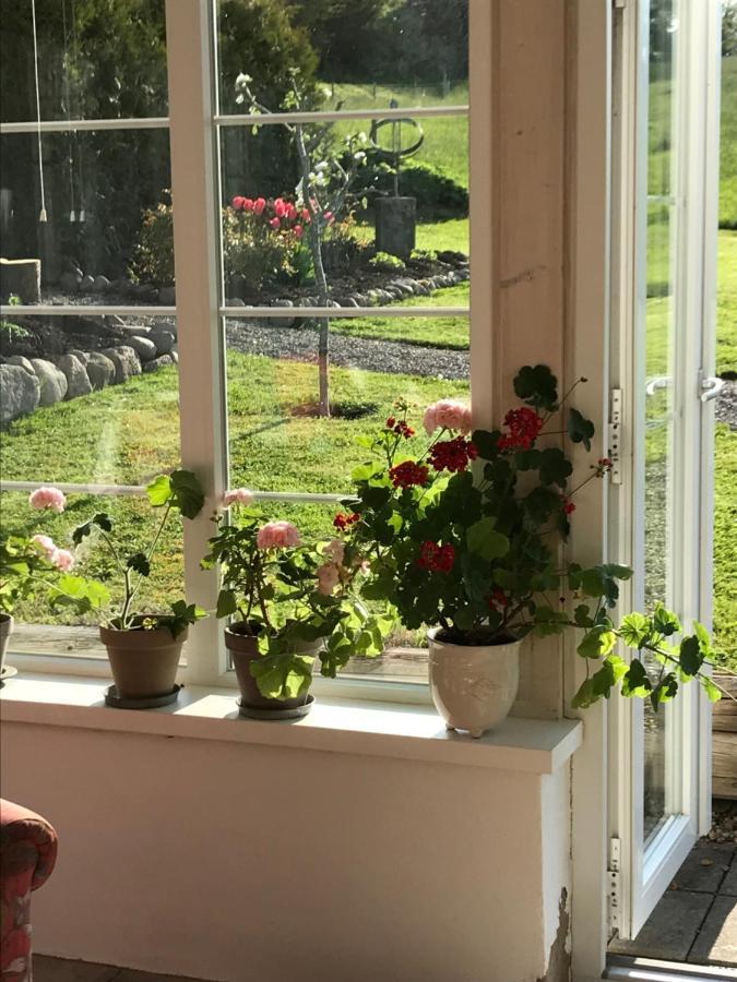 Blomstertantens Hus تريلبورغ المظهر الخارجي الصورة