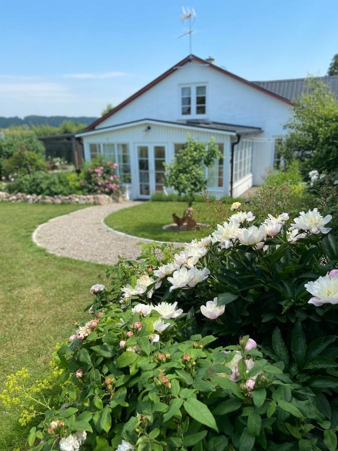 Blomstertantens Hus تريلبورغ المظهر الخارجي الصورة