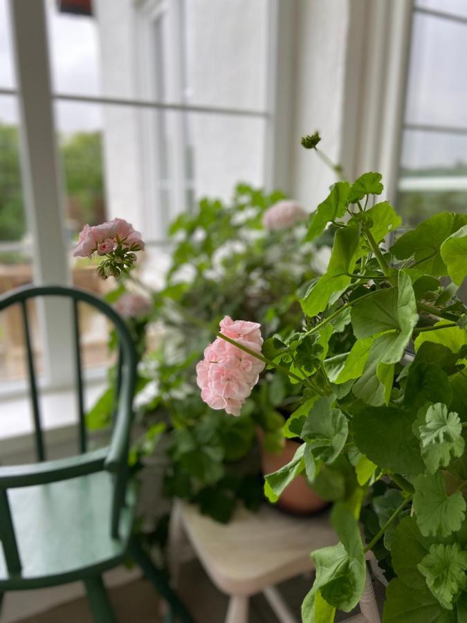 Blomstertantens Hus تريلبورغ المظهر الخارجي الصورة