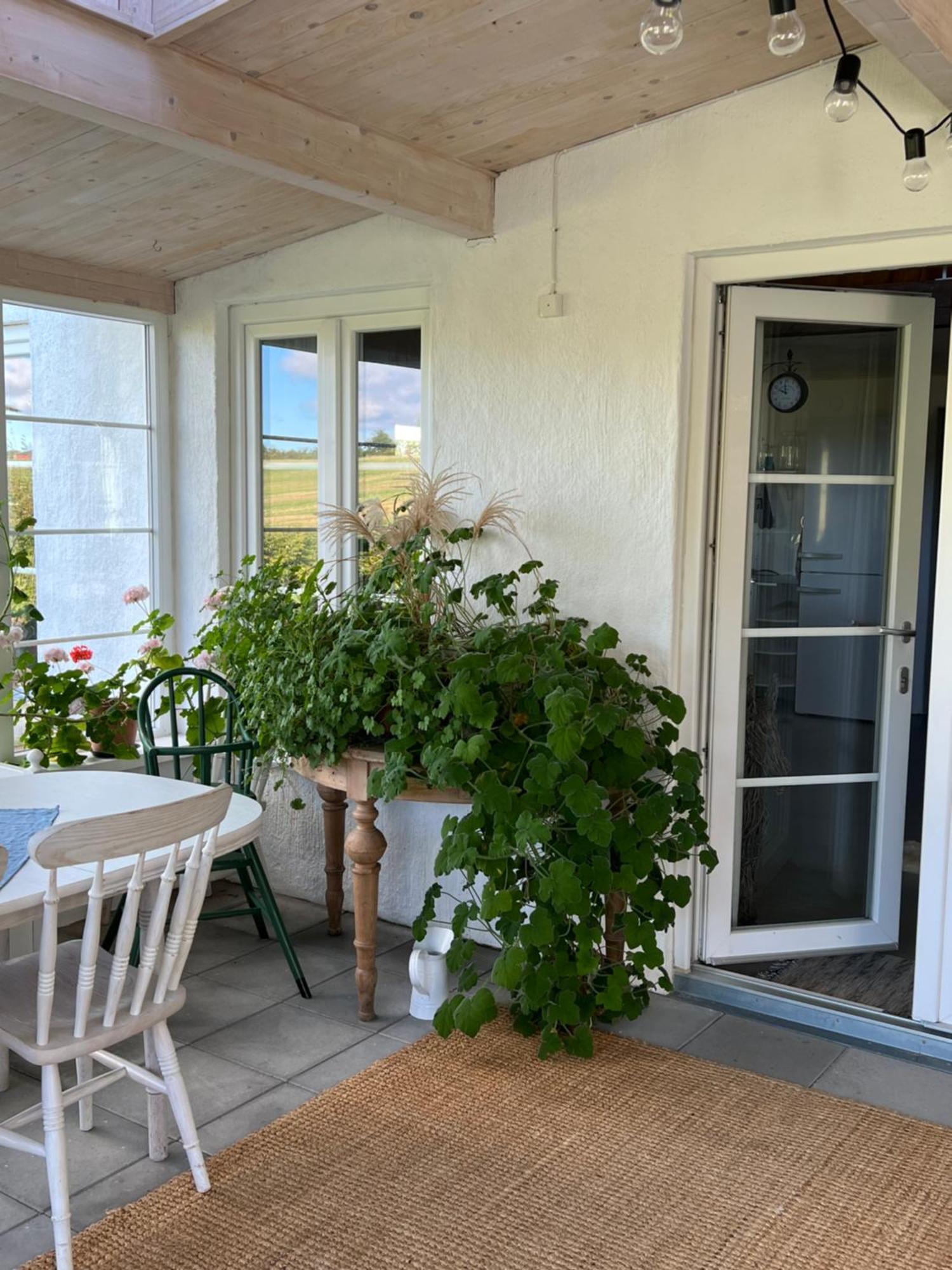 Blomstertantens Hus تريلبورغ المظهر الخارجي الصورة