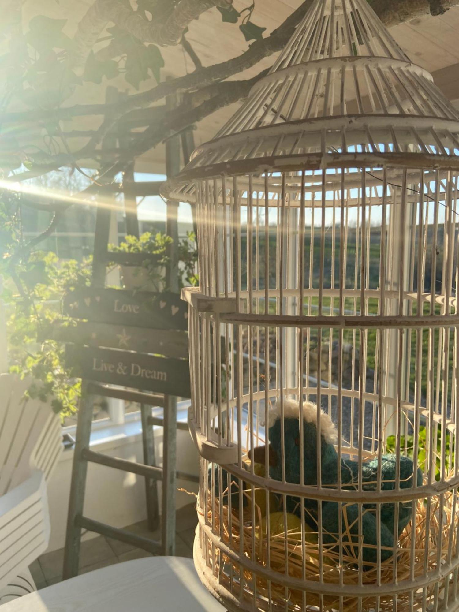 Blomstertantens Hus تريلبورغ المظهر الخارجي الصورة