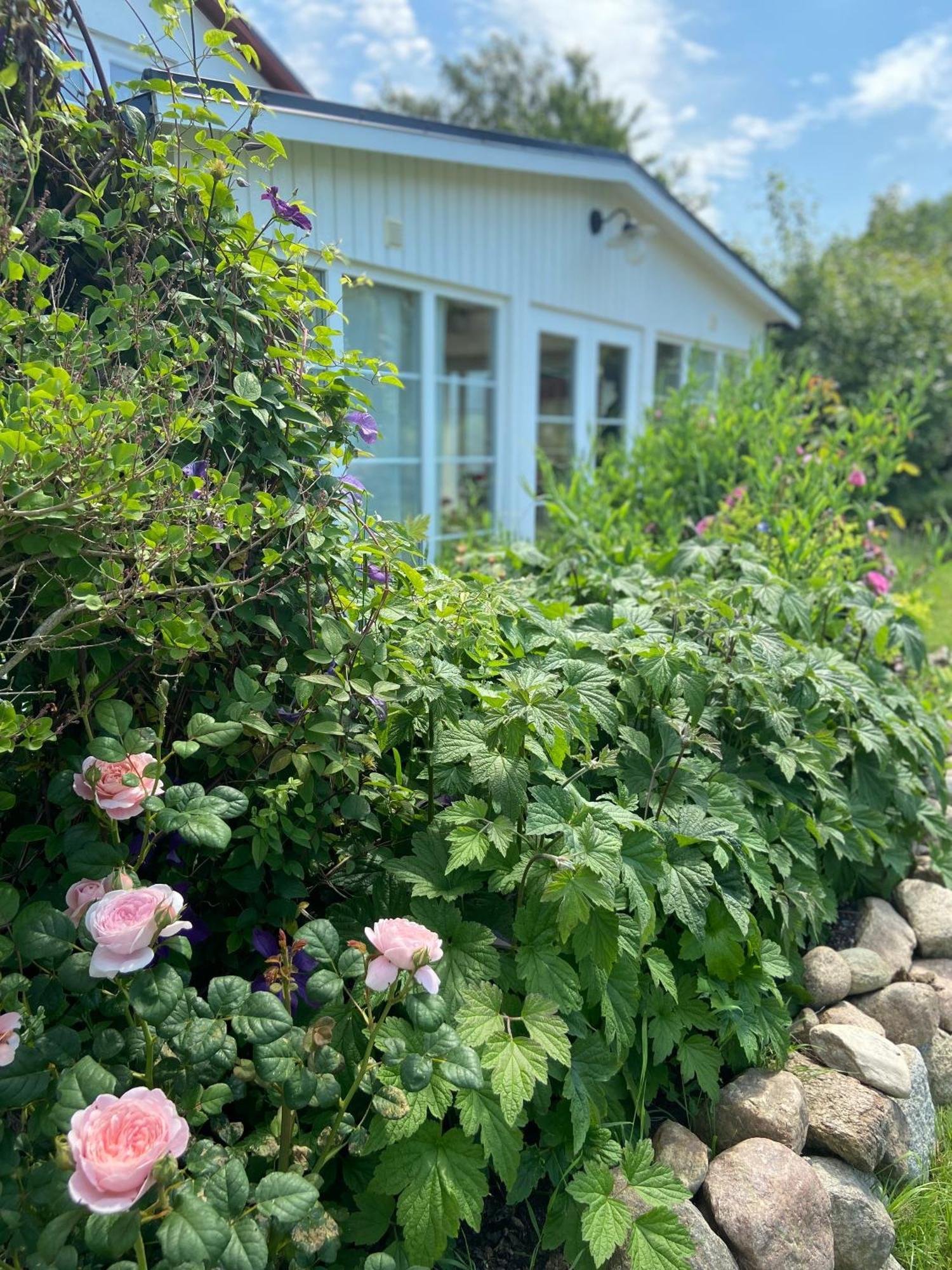 Blomstertantens Hus تريلبورغ المظهر الخارجي الصورة
