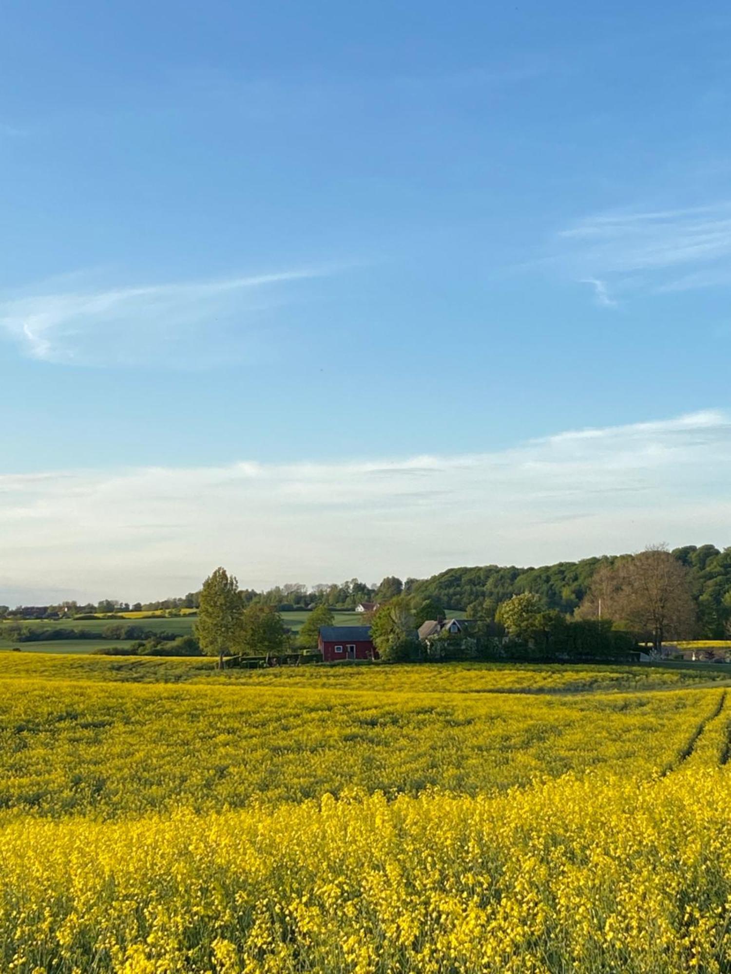 Blomstertantens Hus تريلبورغ المظهر الخارجي الصورة