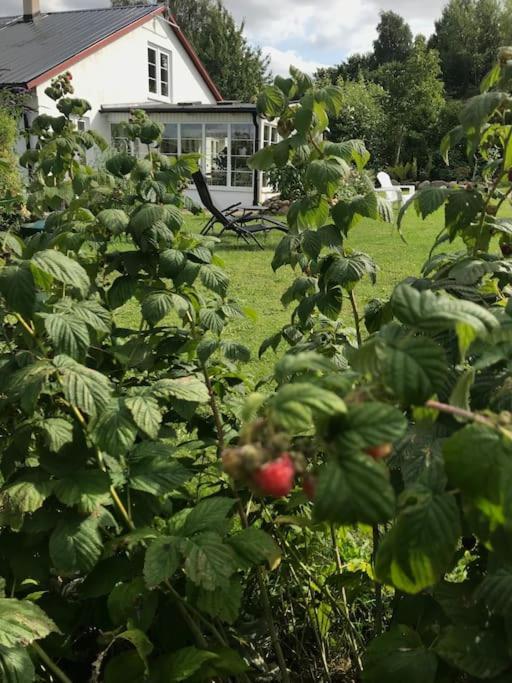 Blomstertantens Hus تريلبورغ المظهر الخارجي الصورة