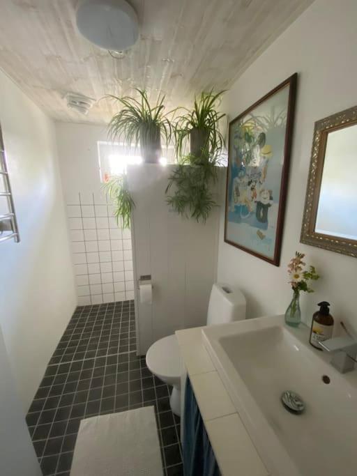 Blomstertantens Hus تريلبورغ المظهر الخارجي الصورة